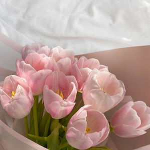 Meet your Posher, Stella